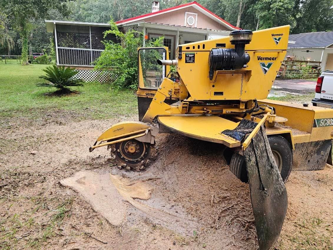 Excavation in Georgia